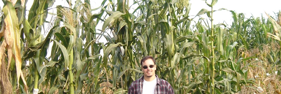 James and the Giant Corn Rotating Header Image