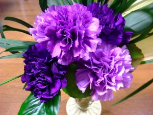 Florigene's Moondust carnations, one of several violet and blue varieties they've created with genetic engineering. Photo by Pagemoral and licensed under the creative commons. Click to see the photo in its original context with license information