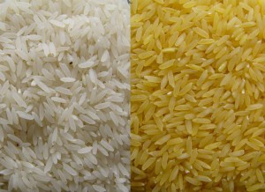 White and Golden Rice Respectively