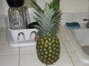 Pineapple. Wish I'd thought to check for a country of origin...