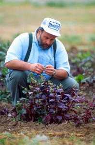 Leonard Panella, a plant geneticist who works on sugar beets
