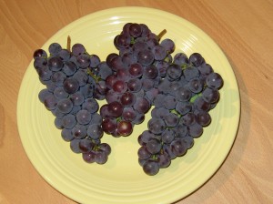 New York Grapes. Concords I believe, though it's been several years so I may be remembering wrong.