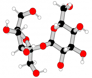 Sucrose molecule