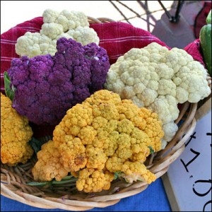 Assorted colorful cauliflowers (orange ones make lots carotenoids the group of molecules that includes pre-vitamin A, the purple ones make anthocyanins another kind of plant pigment). photo: Le Grande Farmers' Market, flickr (click to see photo in its original context)